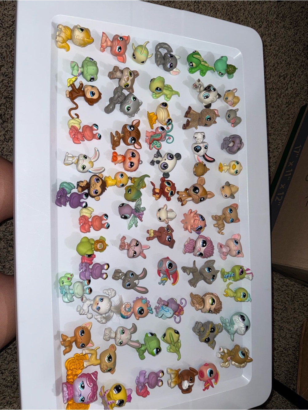 Littlest pet shops